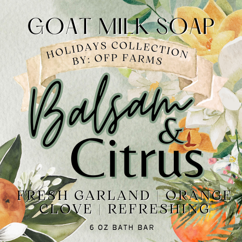Balsam and Citrus, Holiday Tallow and Goat Milk Soap