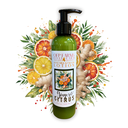 Ginger Citrus, Goat Milk & Tallow Hand and Body Lotion
