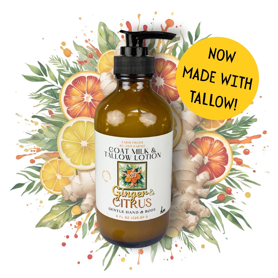 Goat Milk and Tallow Lotion