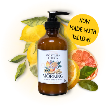 Amarillo Morning, Goat Milk & Tallow Hand and Body Lotion