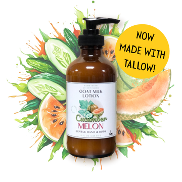 Cucumber Melon, Goat Milk & Tallow Hand and Body Lotion
