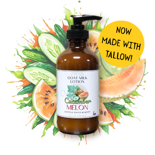 Cucumber Melon, Goat Milk & Tallow Hand and Body Lotion