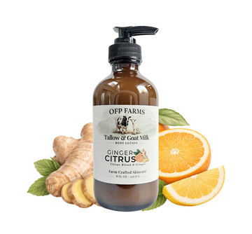 Ginger Citrus, Tallow & Goat Milk Body Lotion