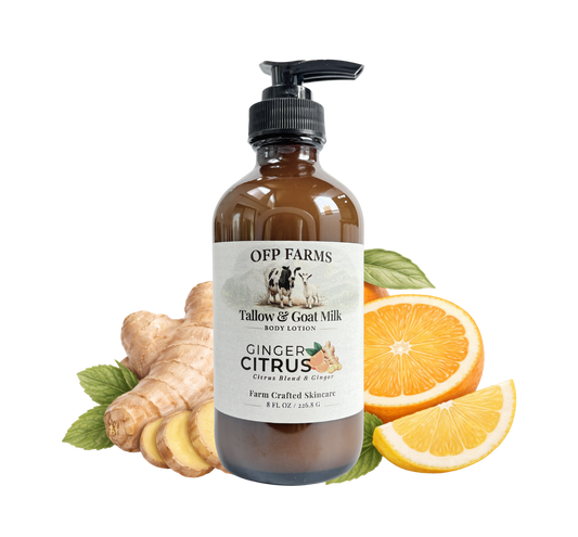 Ginger Citrus, Tallow & Goat Milk Body Lotion