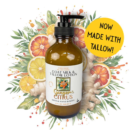 Ginger Citrus, Goat Milk & Tallow Hand and Body Lotion
