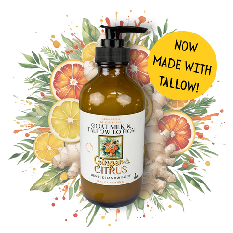 Ginger Citrus, Goat Milk & Tallow Hand and Body Lotion