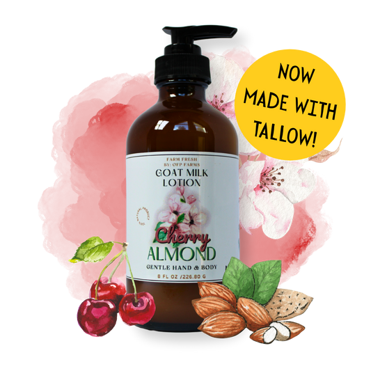 Cherry Almond, Goat Milk & Tallow, Hand and Body Lotion