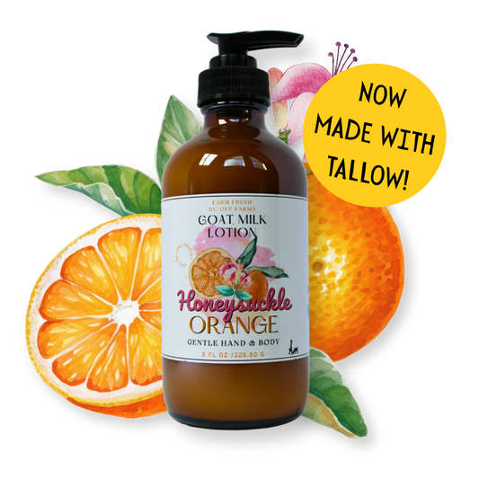 Honeysuckle Orange, Goat Milk & Tallow Hand and Body Lotion