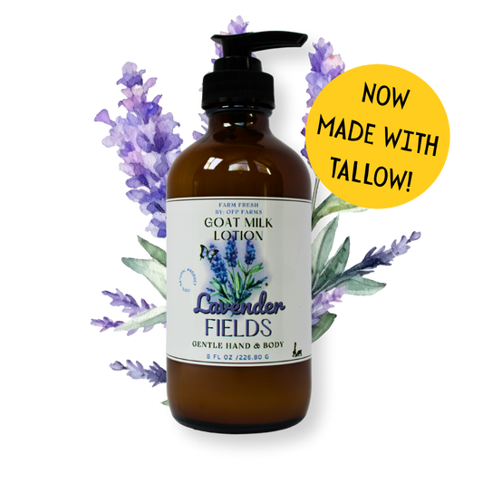 Lavender Fields, Goat Milk & Tallow Hand and Body Lotion