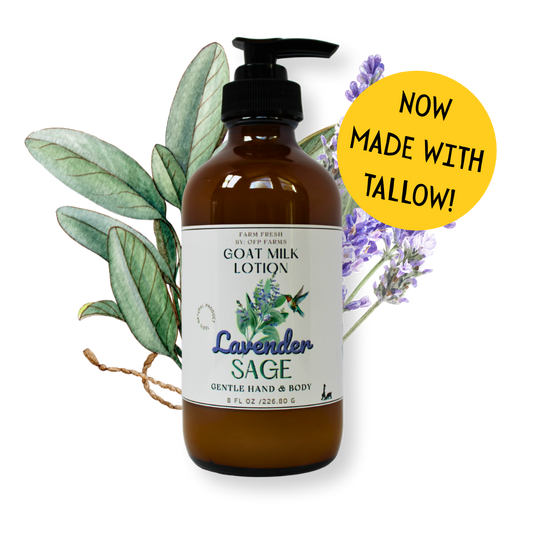 Lavender Sage, Goat Milk & Tallow Hand and Body Lotion
