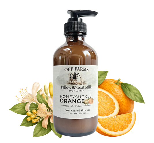 Honeysuckle Orange, Tallow & Goat Milk Body Lotion
