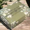 Magnesium Preferred 3 Pack | 1 Magnesium Spray | 1 Five oz Magnesium Balm | 1 Two oz Magnesium Lotion Bar