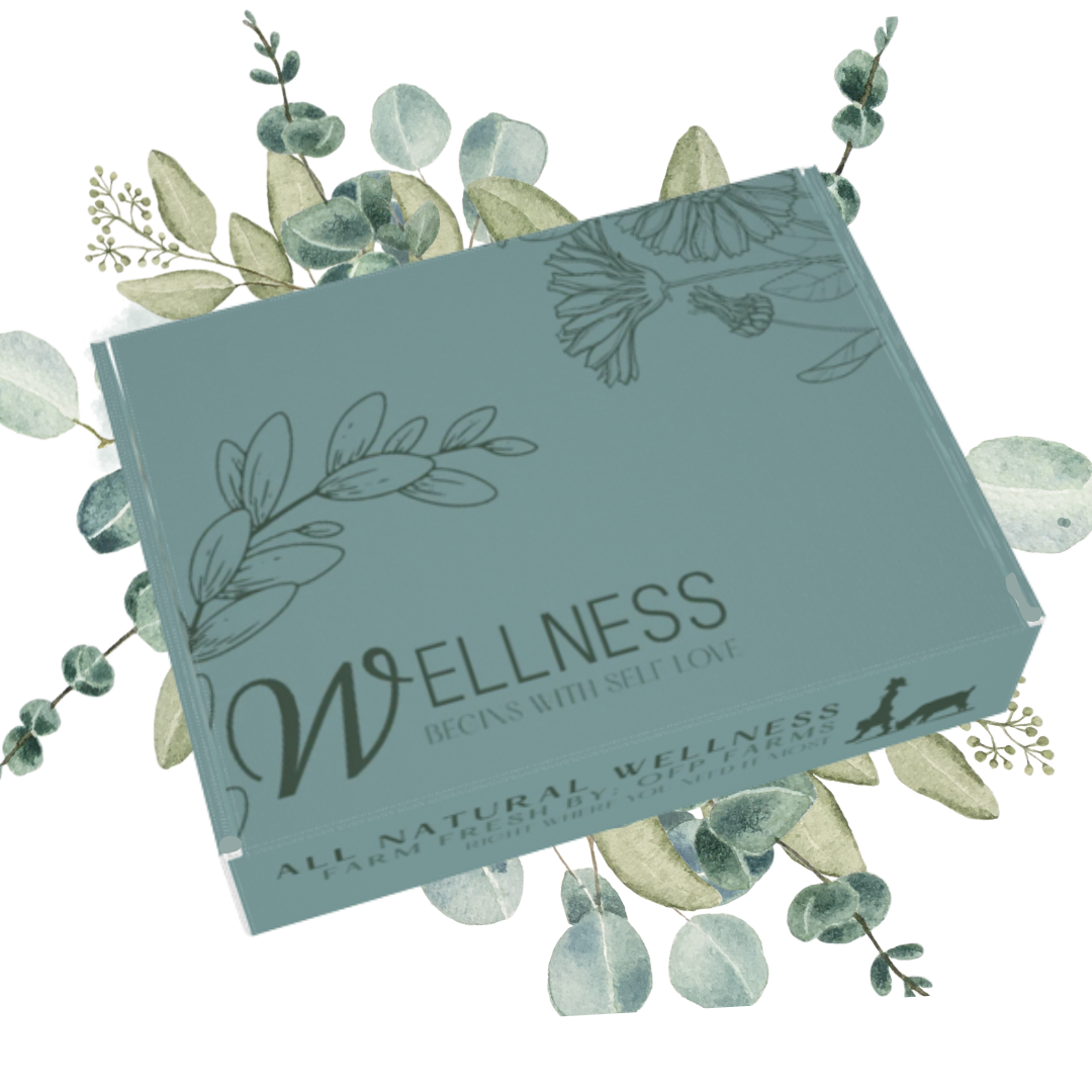 NEW!! Wellness Box - Bundle Gift Set, Magnesium, Lotion, Soap, Salve, Spray, Lip Balm Bundle.