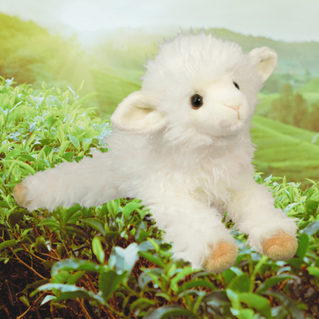 MARY, OFP Farms, RESCUE LAMB, Gift Box -EASTER | LIMITED EDITION | PASSOVER