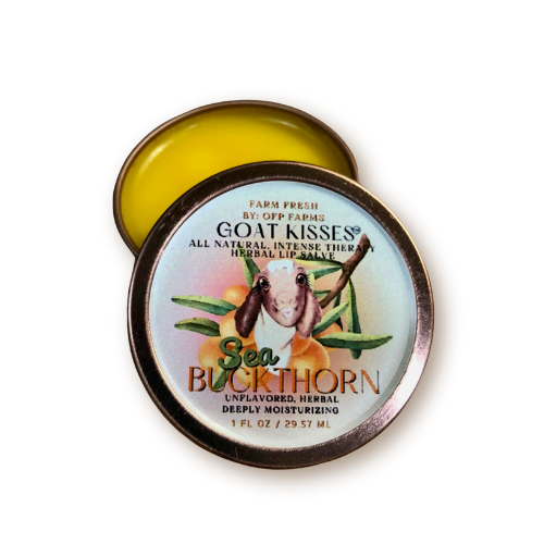 Sea Buckthorn, Lip Salve 1 oz