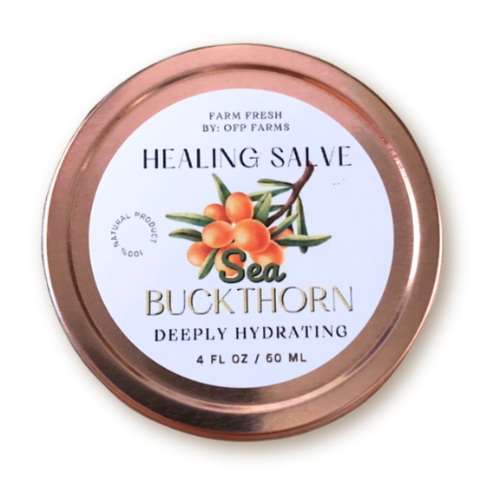 Sea Buckthorn Salve, 4 oz | All Purpose |Deep Penetrating Skin Salve