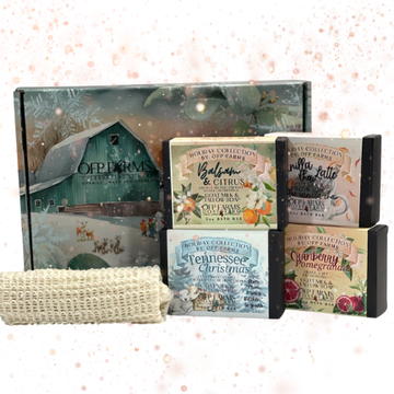 Christmas 4 Soap Gift Box Set, Goat Milk and Tallow Soap