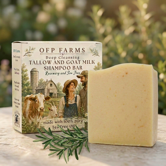 Shampoo product visual with a slightly wider soap bar